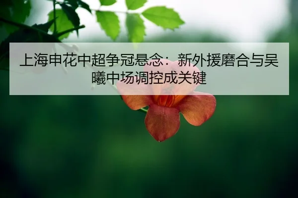 shang-hai-shen-hua-zhong-chao-zheng-guan-xuan-nian-xin-wai-yuan-mo-he-yu-wu-xi-zhong-chang-tiao-kong-cheng-guan-jian-2-585.jpg