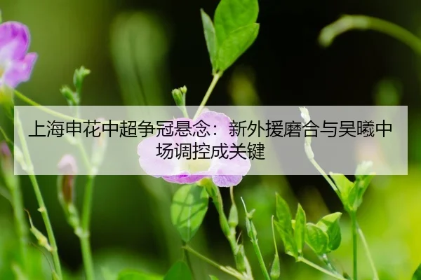 shang-hai-shen-hua-zhong-chao-zheng-guan-xuan-nian-xin-wai-yuan-mo-he-yu-wu-xi-zhong-chang-tiao-kong-cheng-guan-jian-3-410.jpg