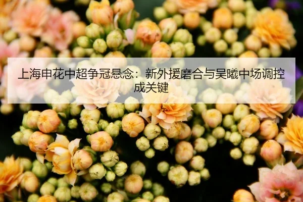 上海申花中超争冠悬念：新外援磨合与吴曦中场调控成关键