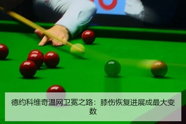 de-yue-ke-wei-qi-wen-wang-wei-mian-zhi-lu-xi-shang-hui-fu-jin-zhan-cheng-zui-da-bian-shu-2-995.jpg